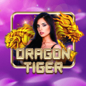 yyphp Dragon Tiger