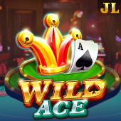 yyphp Wild Ace slot